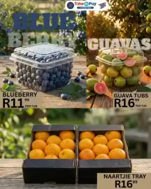 Take 'n Pay catalogue Page 12