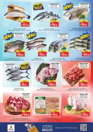 Nesto catalogue Page 16