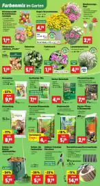 Thomas Philipps Prospekt woche 34 Seite 3