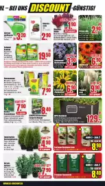 B1 Discount Baumarkt Prospekt woche 34 Seite 3