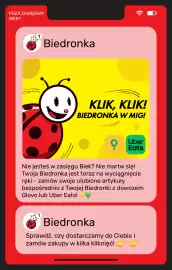 Biedronka gazetka Strona 24