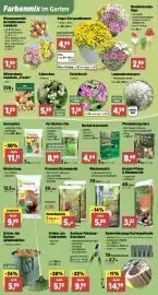 Thomas Philipps Prospekt woche 34 Seite 2: Vertikutier-Mix €8,99, Herbst-Naturkalk €4,44