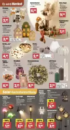 Thomas Philipps Prospekt woche 34 Seite 3: LED-Kerze €3,99, Hortensienkranz €9,99