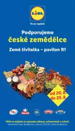 Lidl leták týden 34 Strana 1