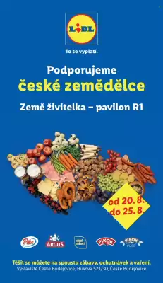 Lidl (platné do 25-08)