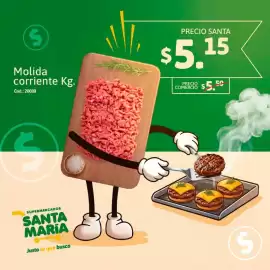 Catálogo Santa Maria Página 4