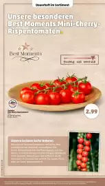PENNY Prospekt woche 34 Seite 10