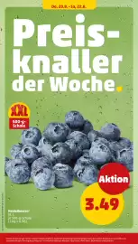 PENNY Prospekt woche 34 Seite 32