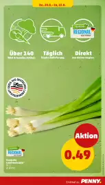 PENNY Prospekt woche 34 Seite 33