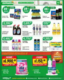 Catálogo Supermercados Damesco semana 33 Página 13: Ayudin lavandina maxima pureza €91.900,00