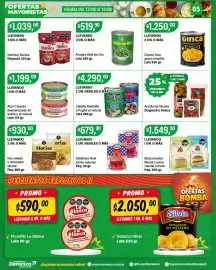 Catálogo Supermercados Damesco semana 33 Página 5: Noel gelatinas varios sabores €679,00, Dánica ketchup €1.039,00