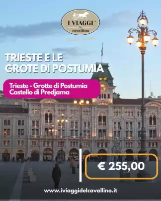I Viaggi del Cavallino (valido fino al 19-08)