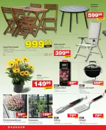 Bauhaus tilbudsavis uge 33 Side 4: Premium trækul €89,95, Frilandschrysanthemum €59,95