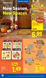 Lidl weekly ad week 34 Page 34: Fall window gel clings €1,49, Harvest decor set €3,99