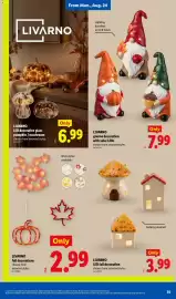 Lidl weekly ad week 34 Page 35: Livarno led fall decoration €3,99, Livarno gnome decoration with solar LEDs €7,99
