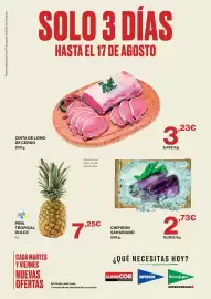 Catálogo El Corte Inglés Página 1: Producto Canario piña tropical dulce €7,25, Cinta de lomo de cerdo €3,23
