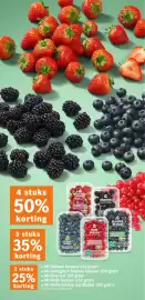 Albert Heijn folder week 34 Pagina 17