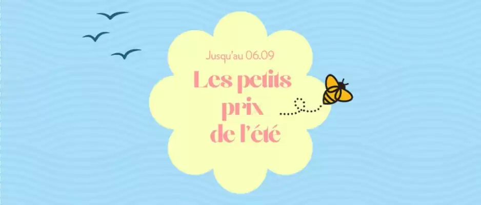 Catalogue Desjoyaux (valable jusqu'au 6-09)
