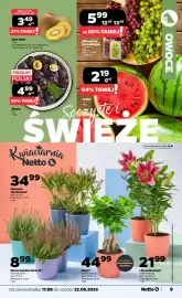 Netto gazetka tydzień 34 Strona 9