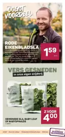 Ekoplaza folder week 34 Pagina 9