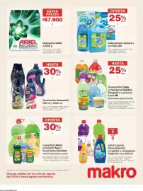 Catálogo Makro semana 33 Página 26: Detergentes Líquidos y en Polvo 3D, Ariel detergente pro cuidado €67.900,00