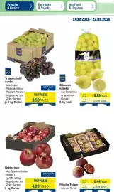 METRO Prospekt woche 34 Seite 8
