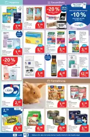 Budni Prospekt woche 35 Seite 5