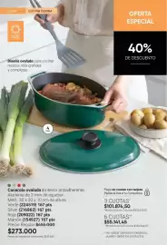 Catálogo Avon Página 19