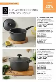 Catálogo Avon Página 28: Cacerola 22 cm diám. interior antiadherente. med: 22 x 13 cm de altura. (208852) €336.000,00
