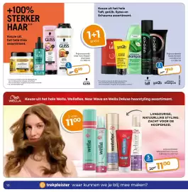 Trekpleister folder Pagina 12