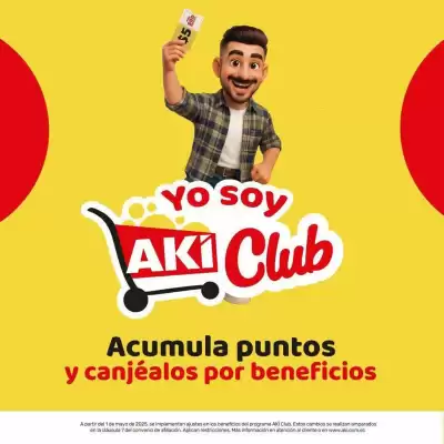 Catálogo Akí (válido hasta 29-08)