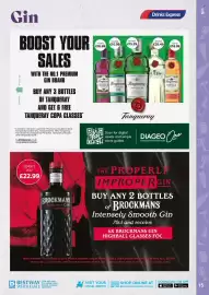 Bestway leaflet Page 15