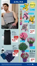 Aldi Süd Prospekt woche 36 Seite 6