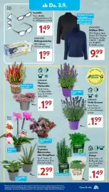 Aldi Süd Prospekt woche 36 Seite 8