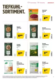 Eurogast Grissemann Flugblatt Seite 13: Eurogast Gastro-Pilzmischung €4,49, Eurogast Steinpilze €11,99