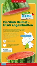 PENNY Prospekt woche 34 Seite 10