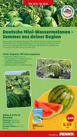 PENNY Prospekt woche 34 Seite 11