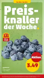 PENNY Prospekt woche 34 Seite 32