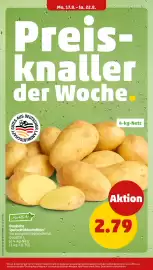 PENNY Prospekt woche 34 Seite 8