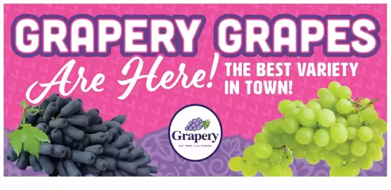 Dierbergs weekly ad week 34 Page 16
