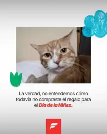 Catálogo Fussetti Página 1