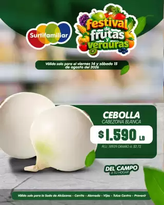 Surtifamiliar (válido hasta 15-08)