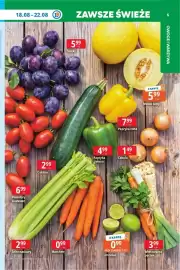 E.Leclerc gazetka tydzień 34 Strona 5: Pomidory śliwkowe €6,99, Papryka zielona €4,99