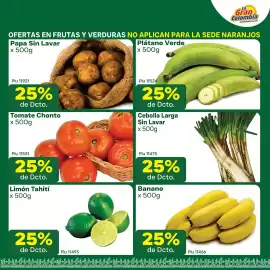 Catálogo La Gran Colombia Página 4: Tomate Chonto, Cebolla Larga