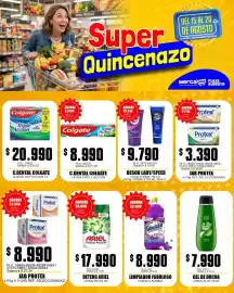 Catálogo Mercapava semana 33 Página 12: Jab protex €3.390,00, Shower Gel €7.990,00