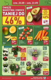 ALDI gazetka tydzień 34 Strona 35