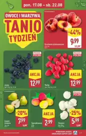 ALDI gazetka tydzień 34 Strona 5