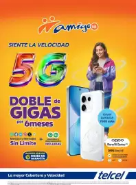 Catálogo Coppel Página 13
