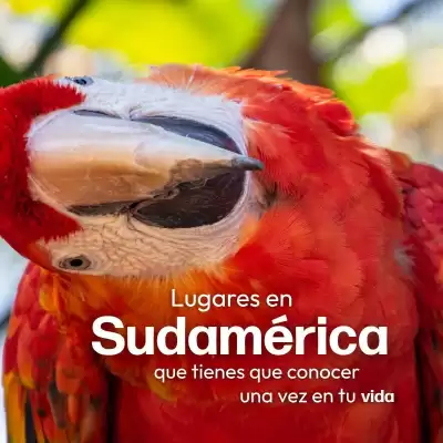 Mega Travel (válido hasta 15-08)