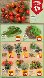 Sonderpreis Baumarkt Prospekt woche 34 Seite 7